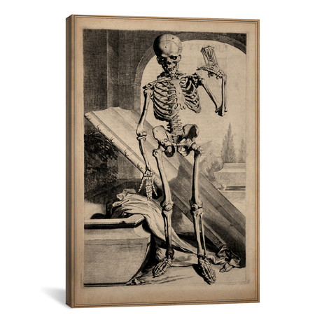 Skeletal Anatomy // Govard Bidloo
