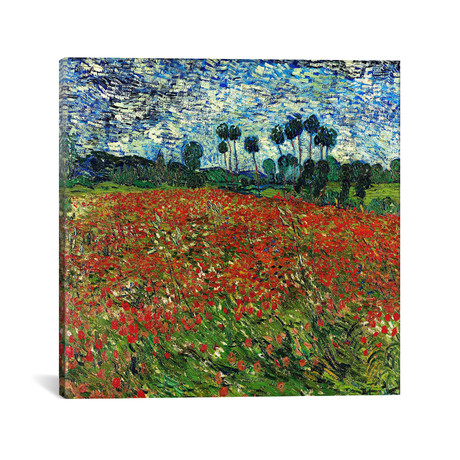 Poppy Field // Vincent van Gogh // 1890