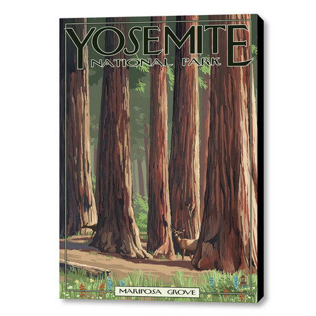 Yosemite National Park // Mariposa Grove