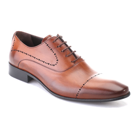 Burnished Dotted Oxford // Tobacco
