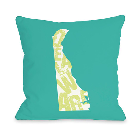 Delaware State Type // Pillow