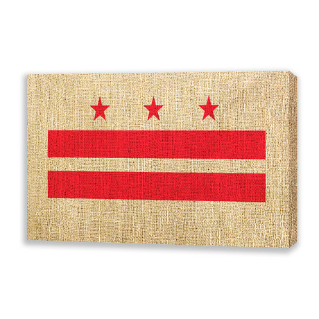 Flag of Washington DC