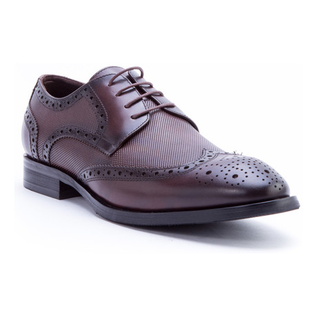 Rossini Medallion Wing-Tip Derby // Brown
