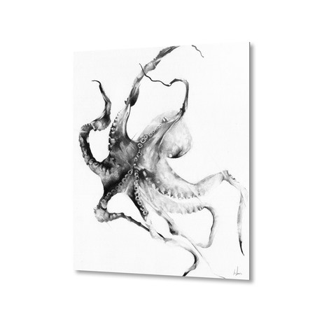 Octopus // Aluminum Print