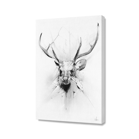 Stag // Stretched Canvas