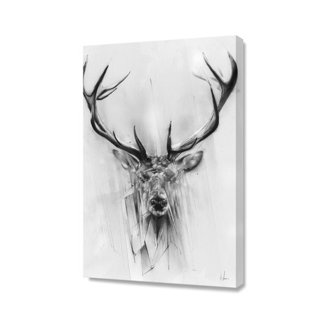 Red Deer // Stretched Canvas