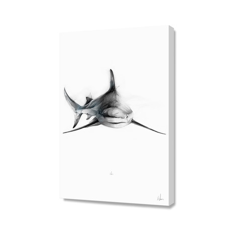 Shark III // Stretched Canvas