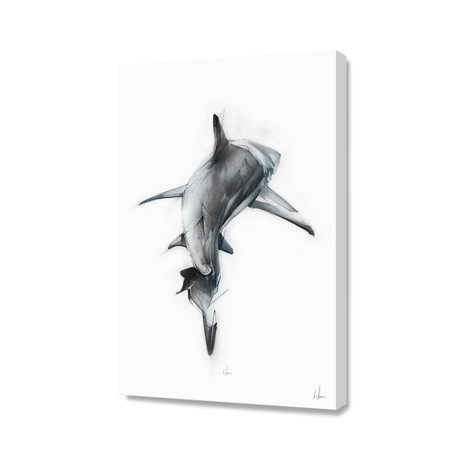 Shark II // Stretched Canvas