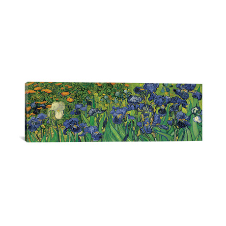 Irises // Vincent Van Gogh