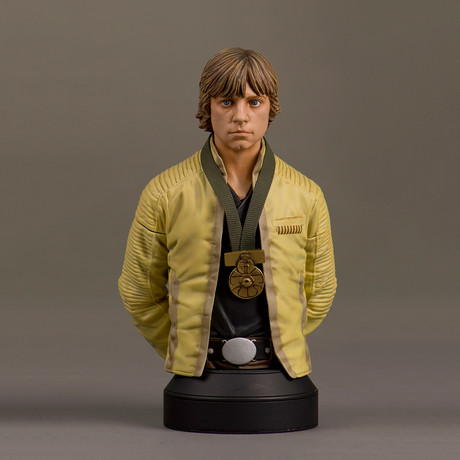 Luke Skywalker Mini Bust