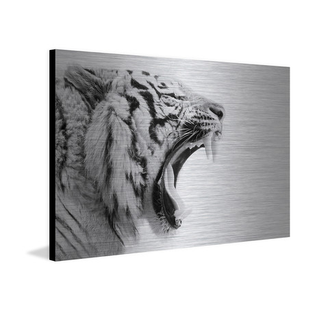 Kings Fangs // Painting Print on Brushed Aluminum