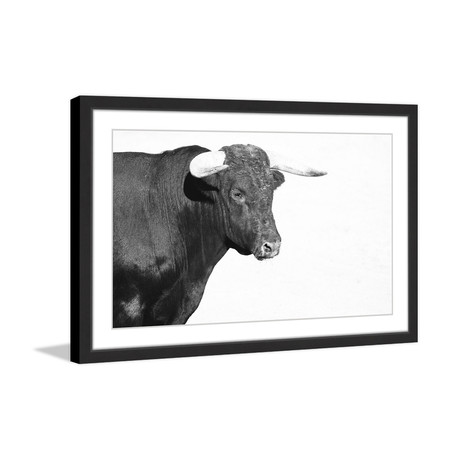 Fighting Glare // Framed Painting Print