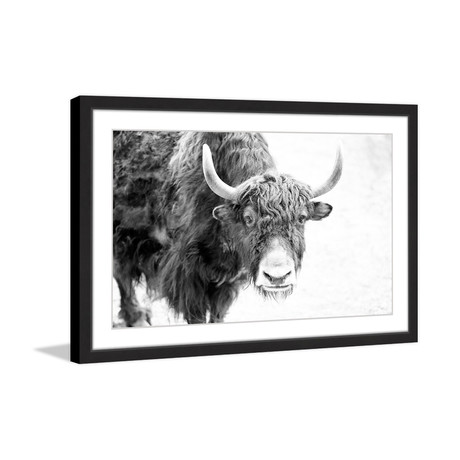 Shaggy Stance // Framed Painting Print