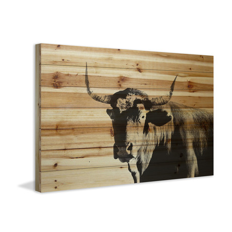 Shadow Glance // Painting Print on Natural Pine Wood