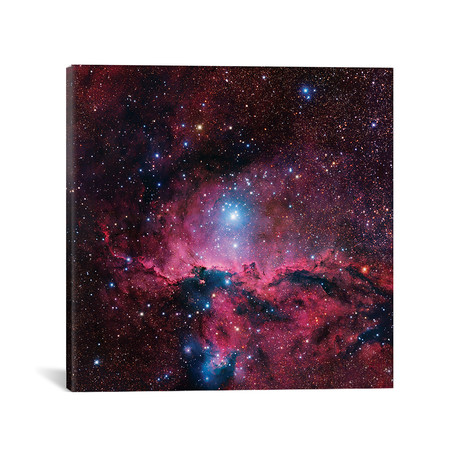 Star Forming Region In Ara (NGC 6188) II