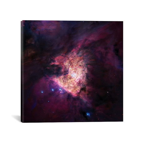 The Center Of The Orion Nebula (The Trapezium Cluster) Mosaic