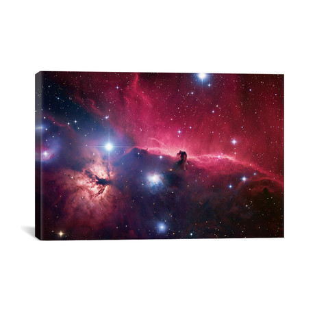 The Horsehead Nebula Region