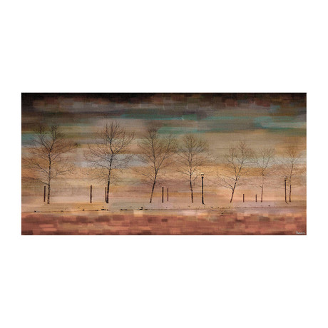 Warm Tree View // Canvas