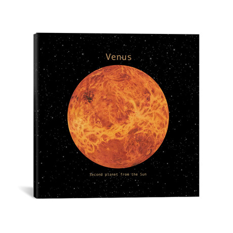 Venus Square