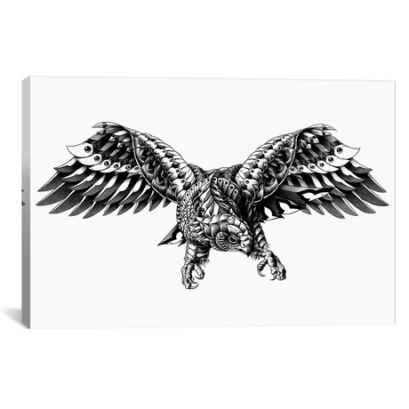 Ornate Falcon