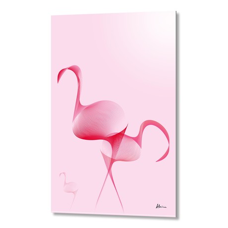 Flamingos // Aluminum
