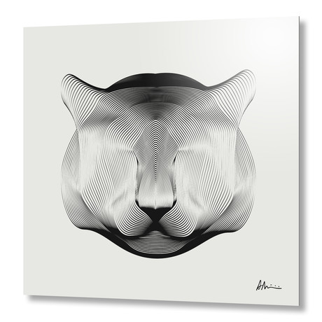 Puma // Aluminum