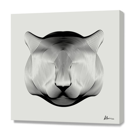 Puma // Canvas