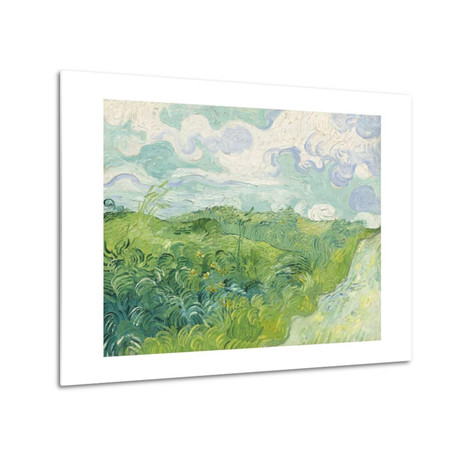Green Wheat Fields, Auvers  // Vincent van Gogh // 1890