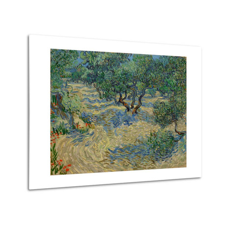 Olive Orchard // Vincent van Gogh // 1890