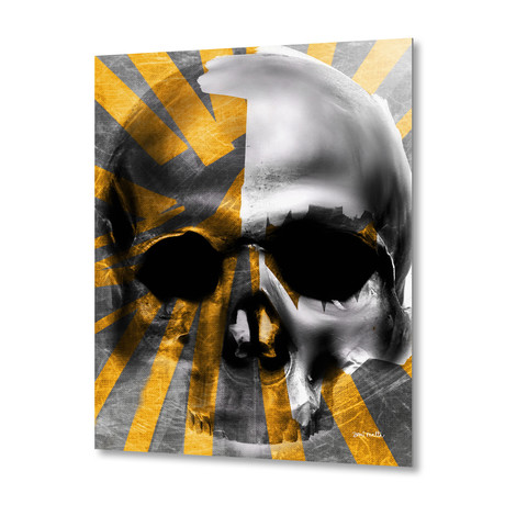 Golden Skull // Aluminum Print