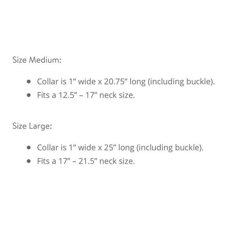 KOA Fish // Mahi Mahi // Set of 2 (Medium) Outward Hound Touch of