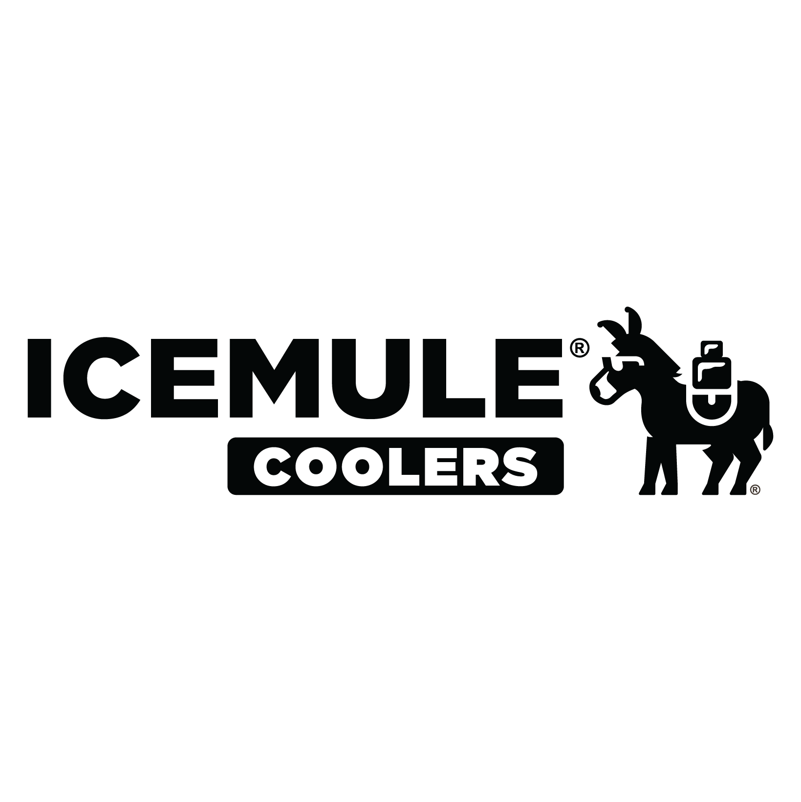ICEMULE™ logo