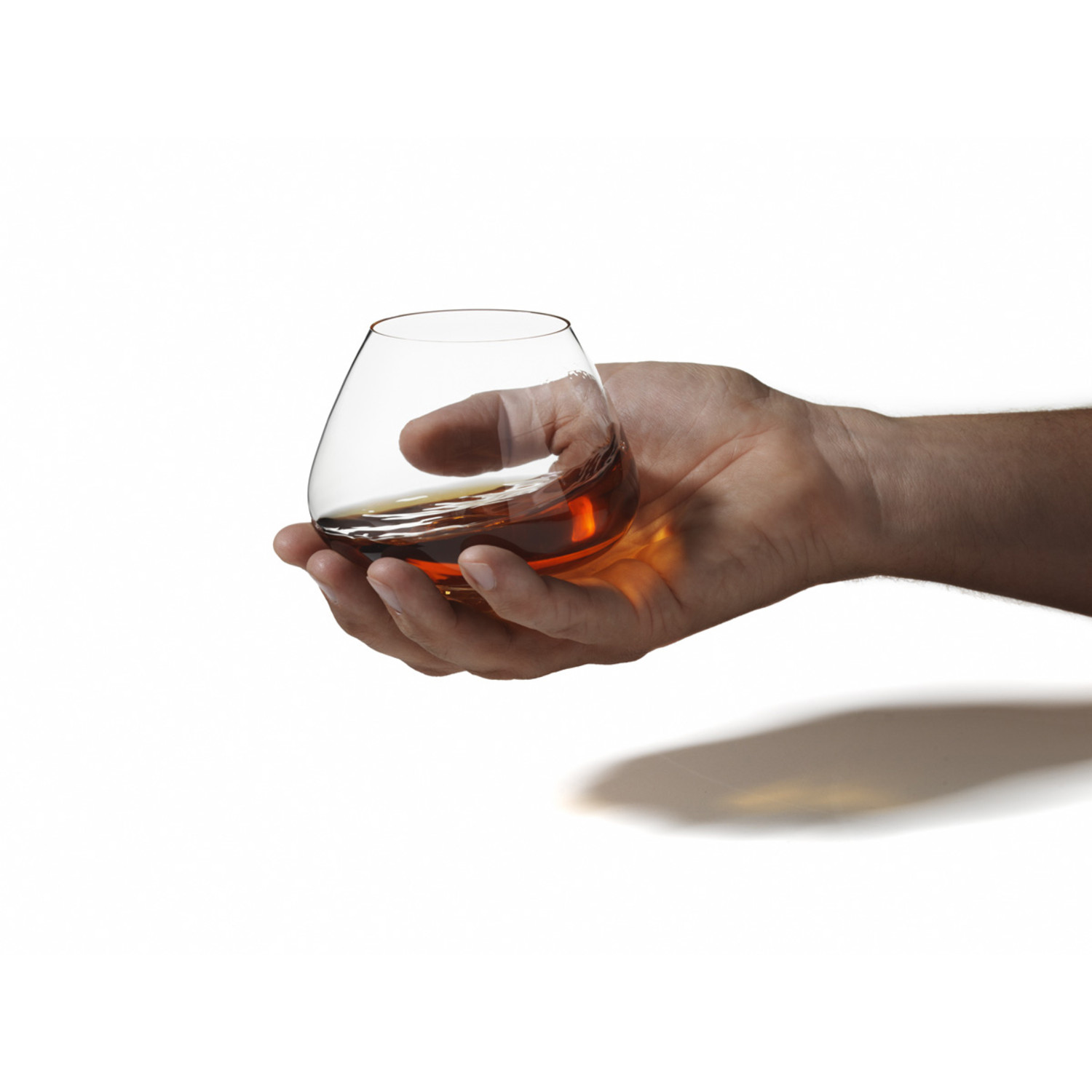 2 Cognac Glasses ToMo's Home Favorites Touch of Modern