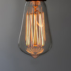 Small 19 Anchor Squirrel Cage Filament Bulb (E27 Screw)
