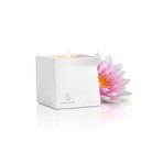 Pink Lotus Afterglow Massage Oil Candle 