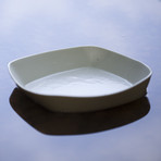 Oncilla + Fossa (Oncilla)