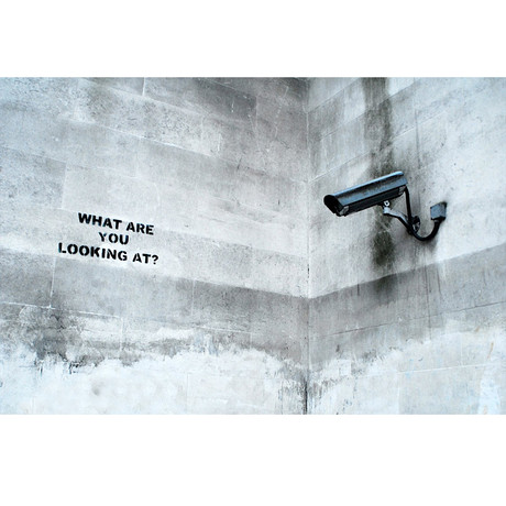 What Are You Looking At Security Camera (26"L x 18"H)