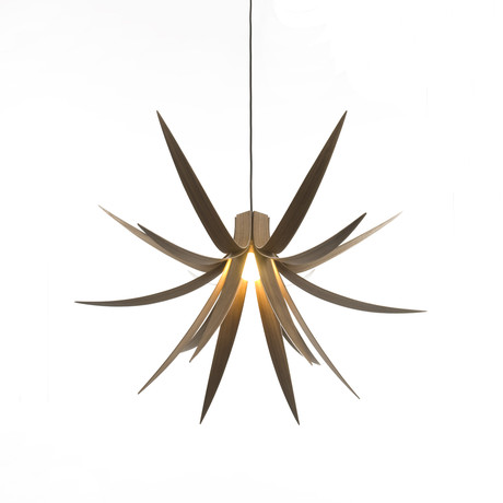 Iris Pendant Light 