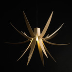 Iris Pendant Light 