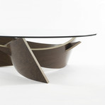 Expose Coffee Table