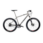 Zion Bicycle (18")