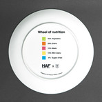 Wheel of Nutrition Summary