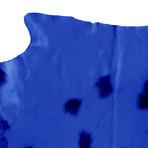 Cobalt Tinted Hide (Blue Tint)