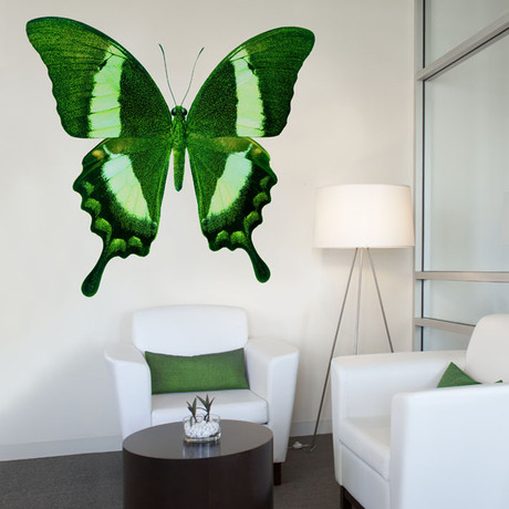 Green Butterfly (18" x 21")