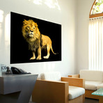 Lion Wall Photo (19" x 24")