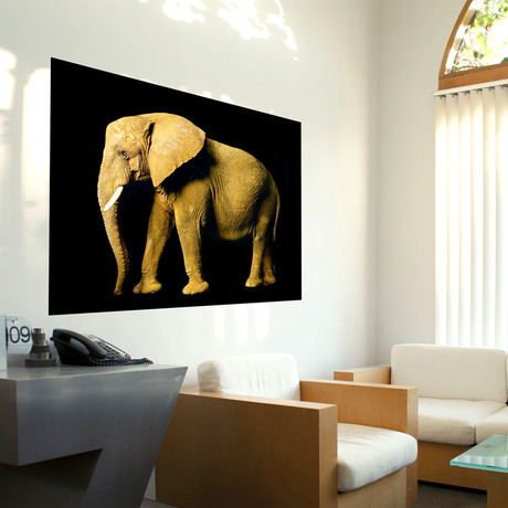 Elephant Wall Photo (19" x 24")
