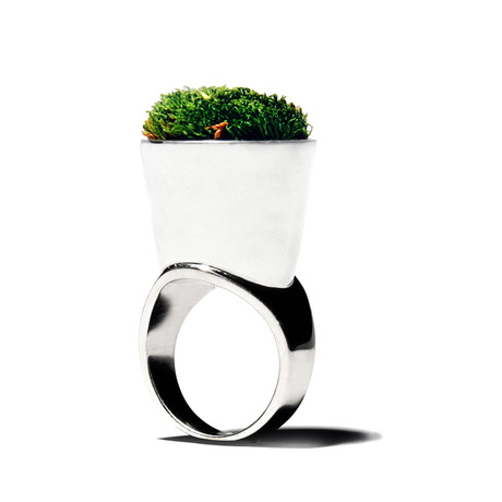 Growing Jewelry: Ring A (Size 6)