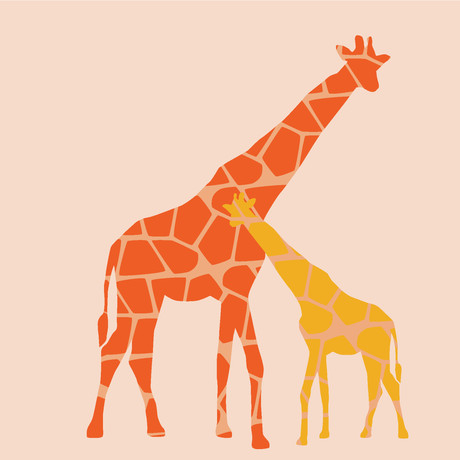 Orange Reticulated Giraffe (20" x 20")