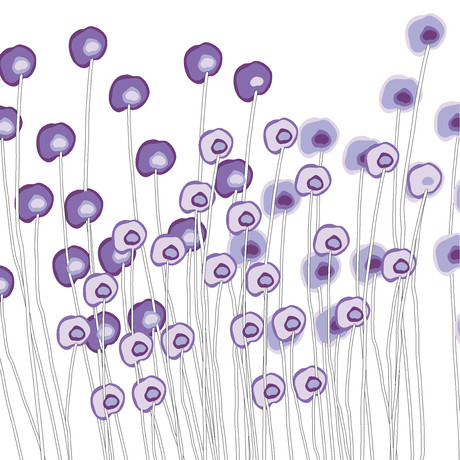 Purple Wildflowers (20" x 20")