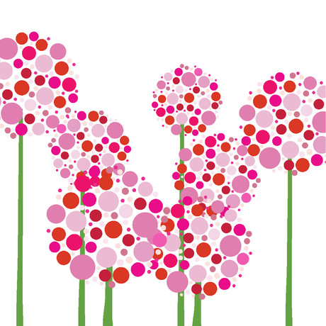 Pink  Allium (20" x 20")